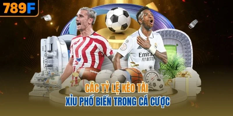 Các tỷ lệ kèo tài xỉu phổ biến trong cá cược