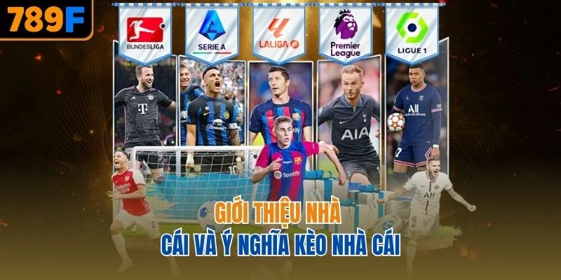 Giới thiệu nhà cái và ý nghĩa kèo nhà cái